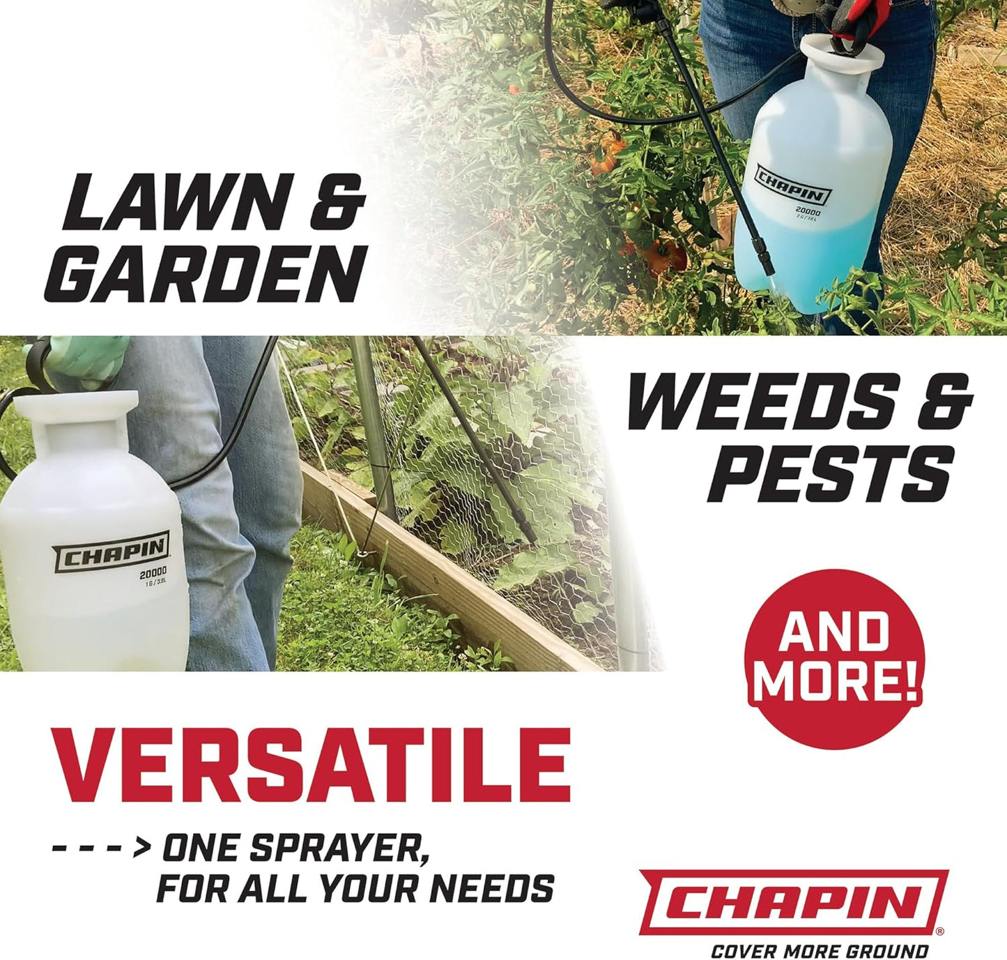 Chapin 20004 Pump Sprayer, 1 Gallon, Lawn and Garden, Hand Pressurized, Anti-Clog Filter, Adjustable Spray Nozzle, Spraying Plants, Watering, Weeds, Fertilizer and Pests, Translucent