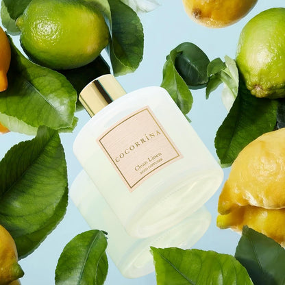 Reed Diffuser Set, Clean Linen 6.7 Fl Oz Scented Diffuser with Sticks Home Fragrance Reed Diffuser for Bathroom Shelf Decor